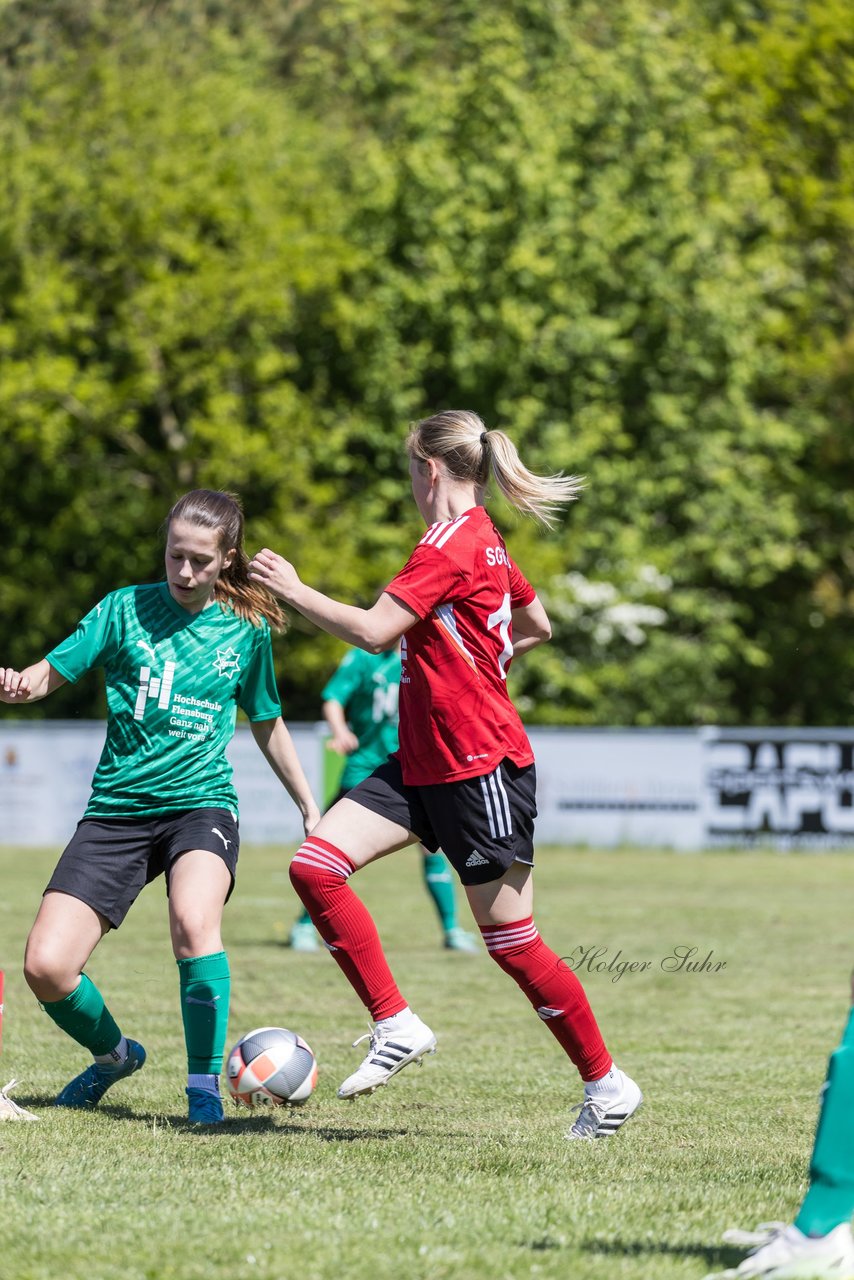 Bild 80 - F SG NieBar - IF Stjernen Flensborg : Ergebnis: 2:0